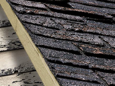 Otis Joiner Roofing Images